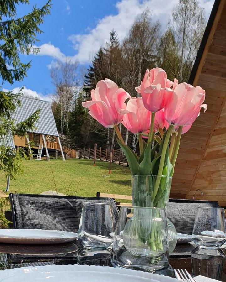 Harmony Villa Lupeni Straja Dış mekan fotoğraf
